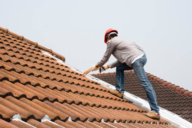 Best 4 Ply Roofing  in West Dundee, IL